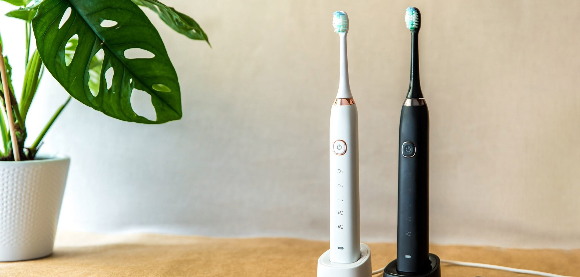 Why the Fairywill Electric Sonic Toothbrush Is a Game-Changer for Dental Health